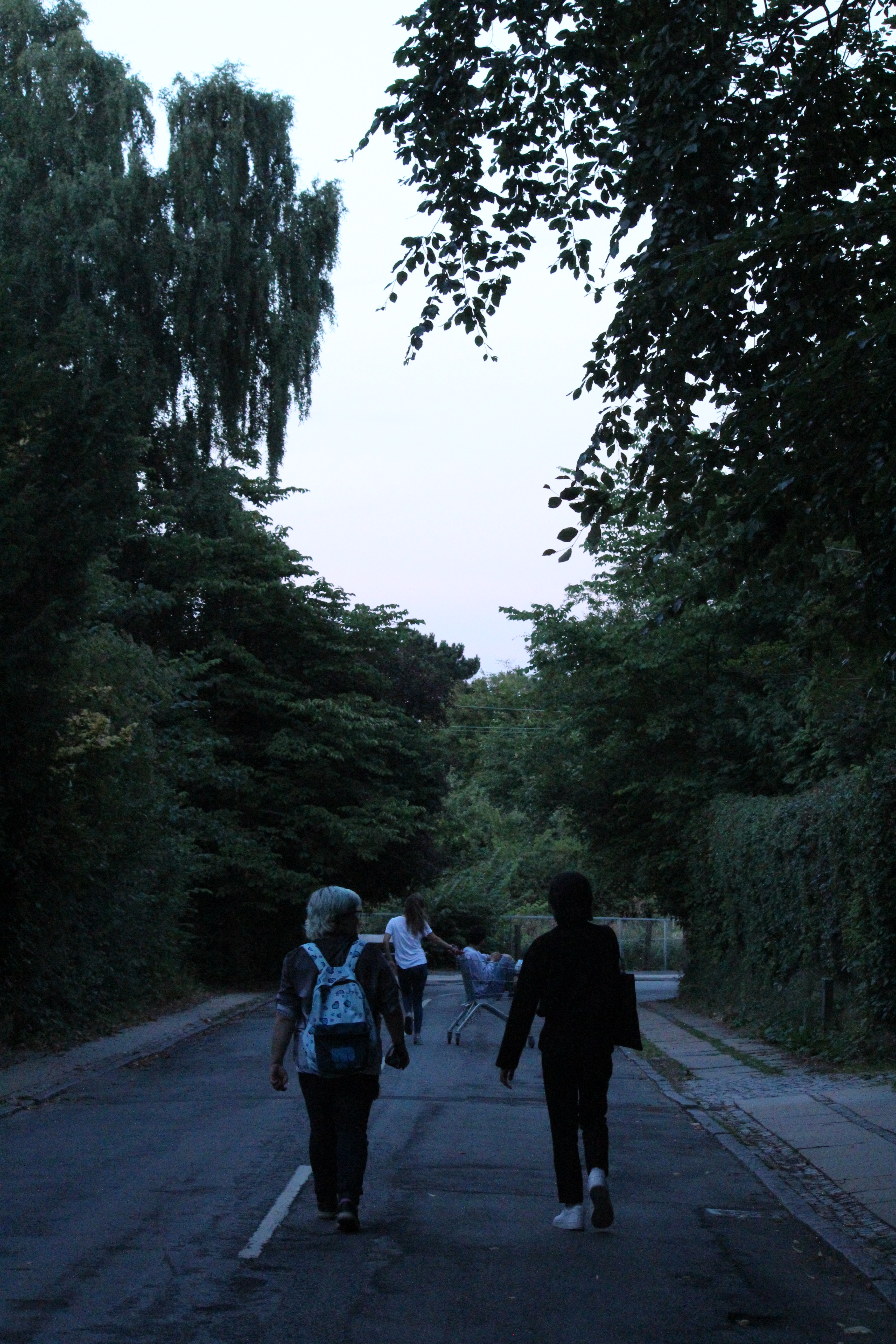 IMG_5758.JPG